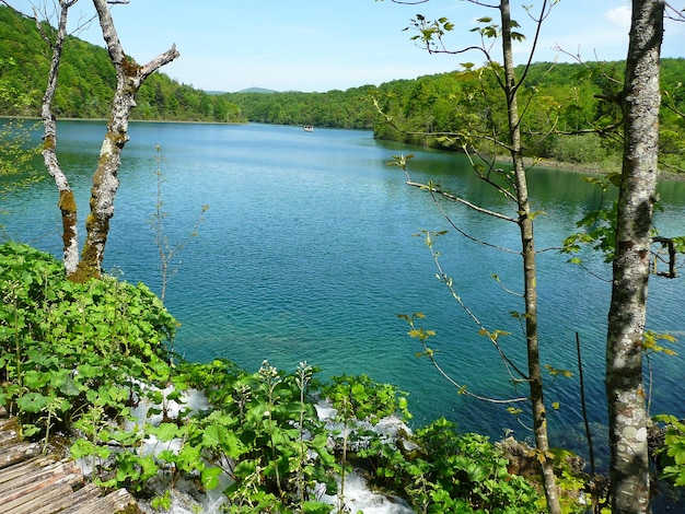 Foto vista panoramica del fiume