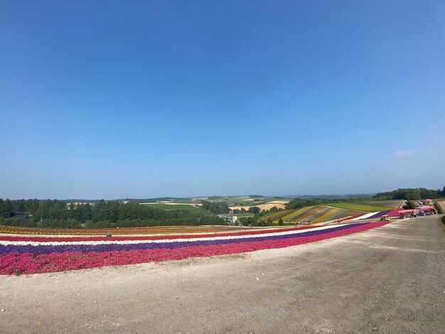 Scenic view of road against clear blue sky