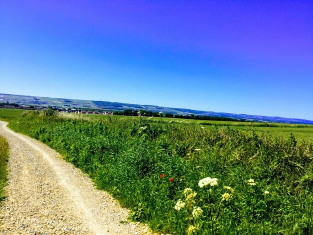 Scenic view of road amidst field against clear blue sky