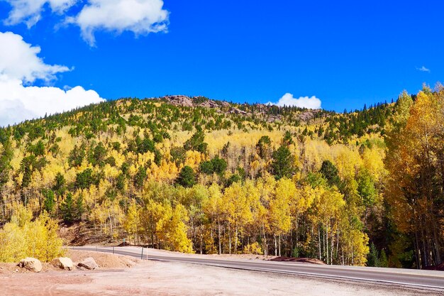 Scenic view of road amidst trees against blue sky