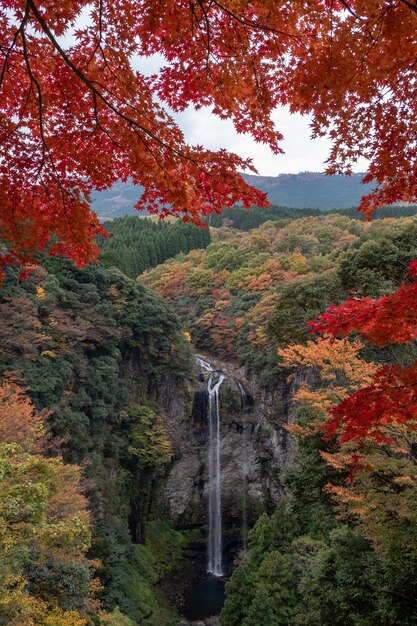 Photo scenic view of road amidst trees during autumn