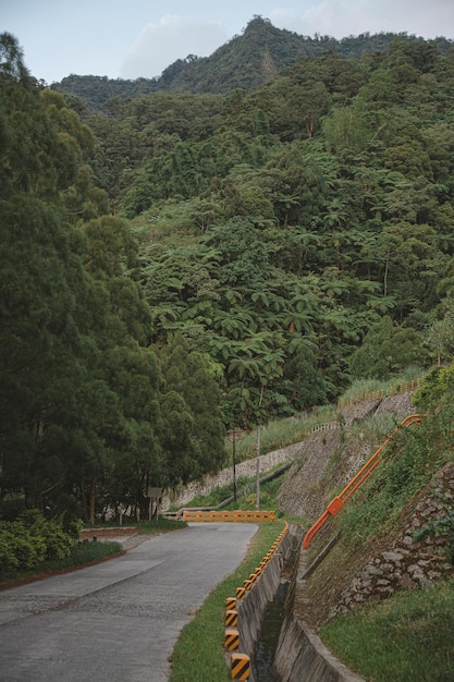 Scenic view of road amidst trees and mountains