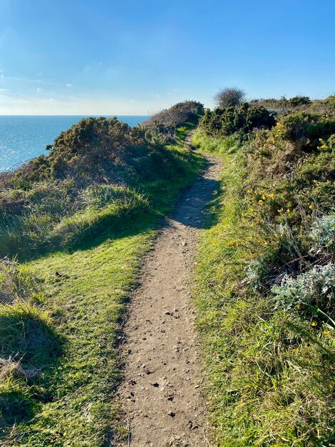 Scenic view of road by sea against sky