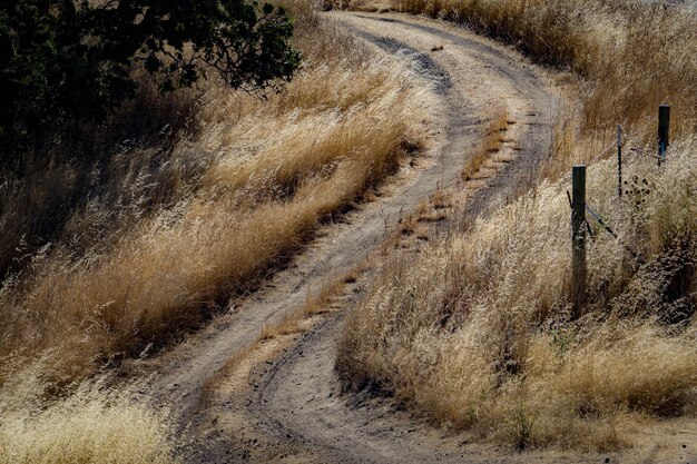 Photo scenic view of road on field