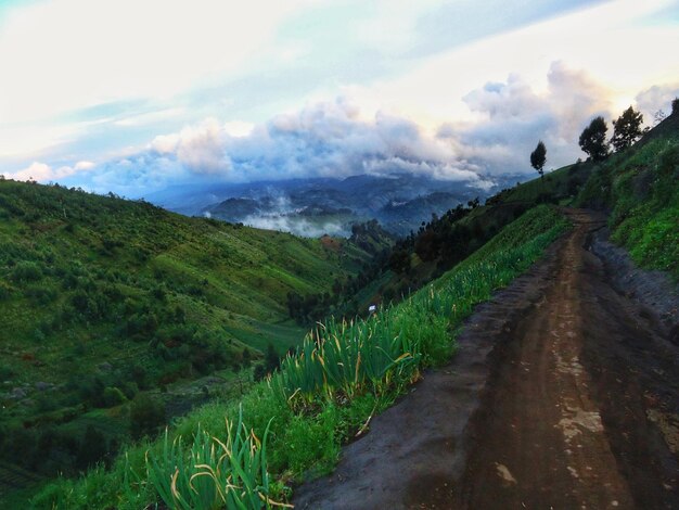 Scenic view of road leading towards mountains against sky