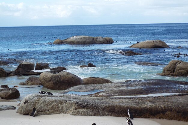 Scenic view of rocks on beach against sky