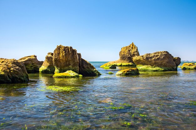 Scenic view of rocks in sea against clear blue sky