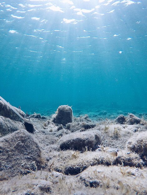 Scenic view of rocks on sea shore