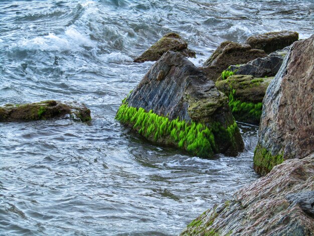 Photo scenic view of rocks in sea