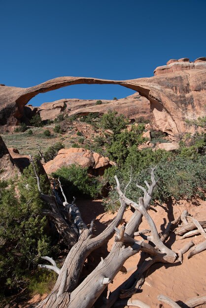 Foto la vista panoramica delle montagne rocciose contro un cielo blu limpido