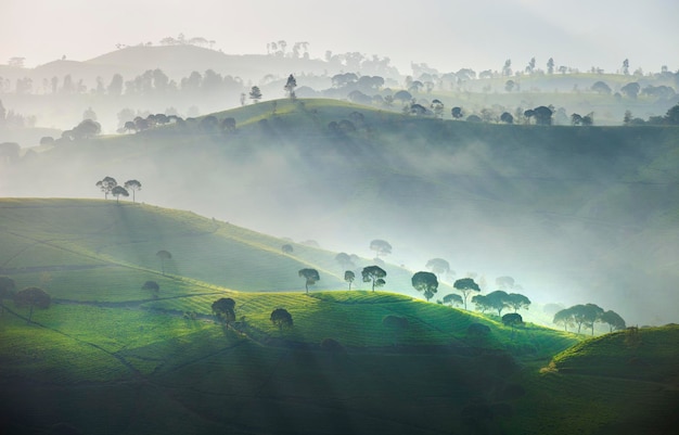 scenic view of rolling landscape against sky