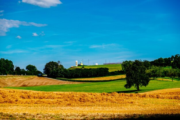 Scenic view of rural landscape