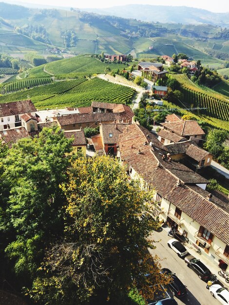 Photo scenic view of rural landscape