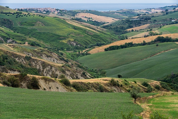 Foto vista panoramica del paesaggio rurale