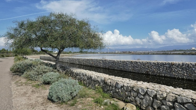 Foto vista panoramica del paesaggio delle saline contro il cielo