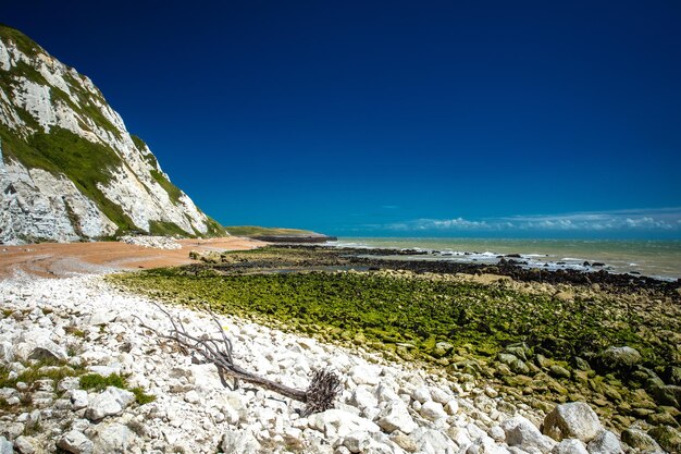 Scenic view of Samphire Hoe Country Park with white cliffs south England