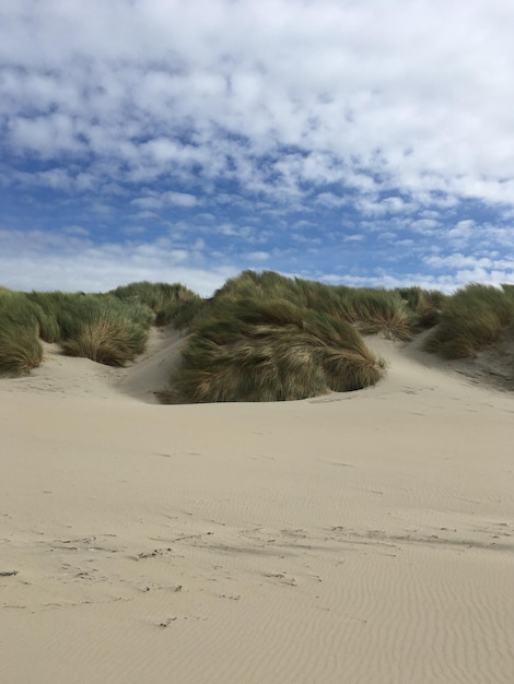 Foto vista panoramica della duna di sabbia sulla spiaggia contro il cielo