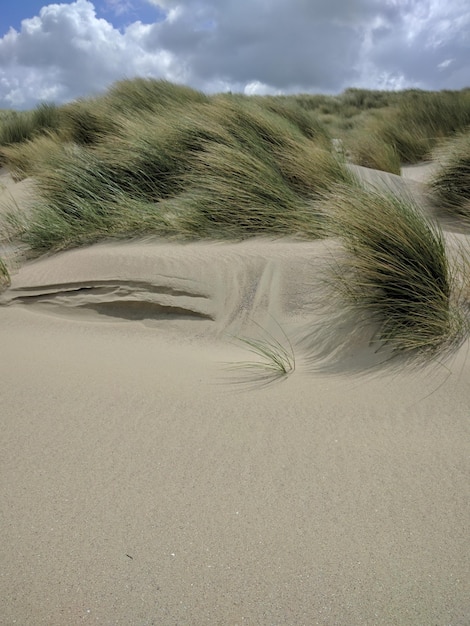 Foto la vista panoramica delle dune di sabbia contro il cielo