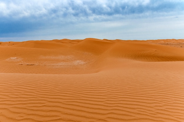 Scenic view of sand dunes or barchans of desert in Kalmykia, Russia