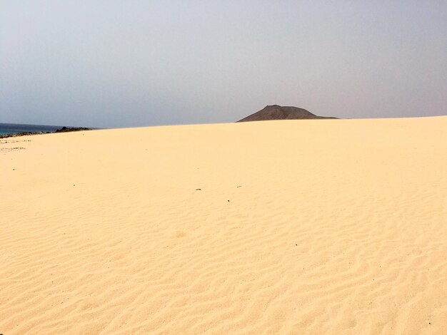 Scenic view of sand dunes in desert against sky