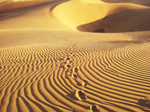 Scenic view of sand dunes at desert