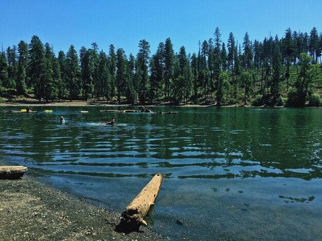 Photo scenic view of scout lake in summer