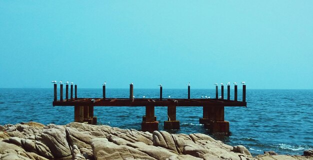 Photo scenic view of sea against blue sky