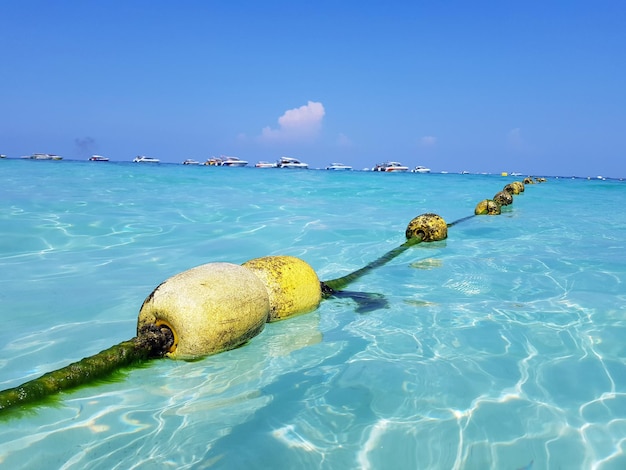 Photo scenic view of sea against blue sky