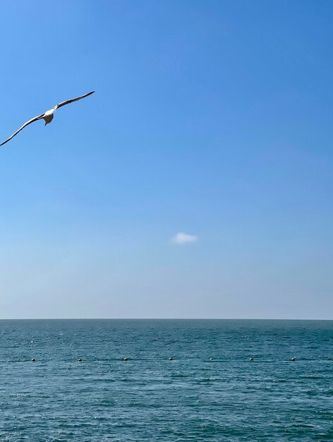 Scenic view of sea against blue sky