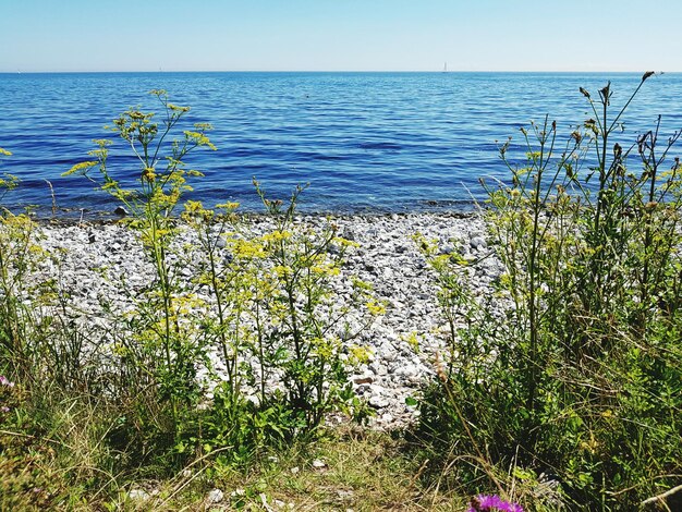 Foto vista panoramica del mare sul cielo blu