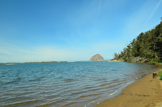 Scenic view of sea against blue sky