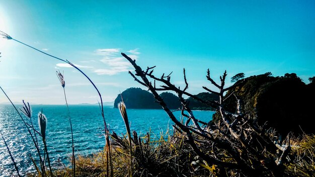 Scenic view of sea against blue sky