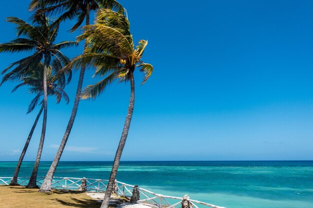 Scenic view of sea against blue sky