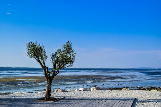 Scenic view of sea against blue sky