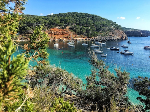 Foto vista panoramica del mare sul cielo blu