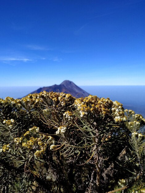 Scenic view of sea against blue sky