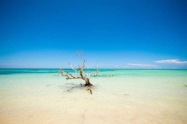 Scenic view of sea against blue sky