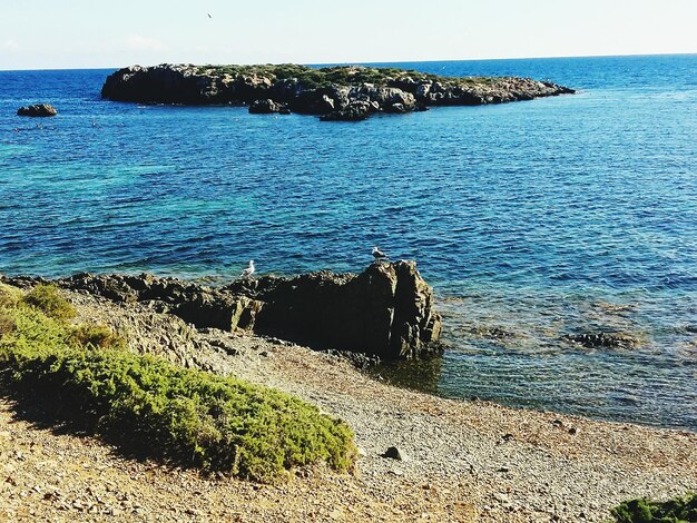 Scenic view of sea against blue sky