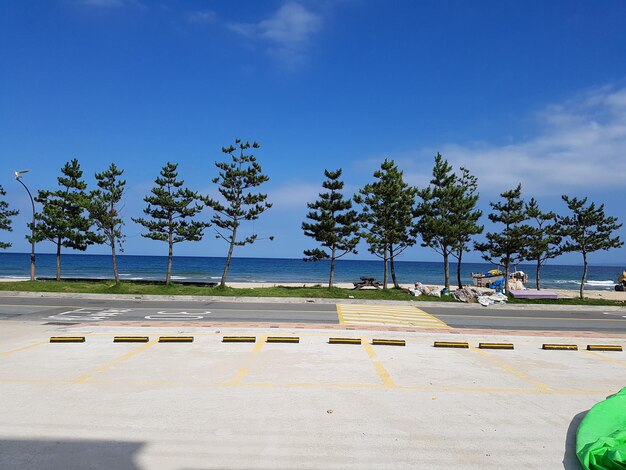 Scenic view of sea against blue sky