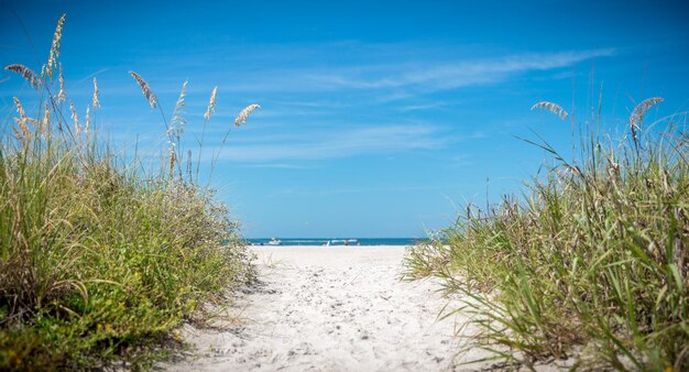 Scenic view of sea against blue sky