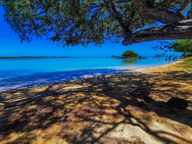 Foto vista panoramica del mare sul cielo blu