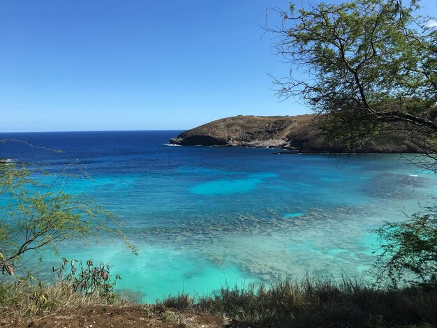 Foto la vista panoramica del mare contro un cielo blu limpido