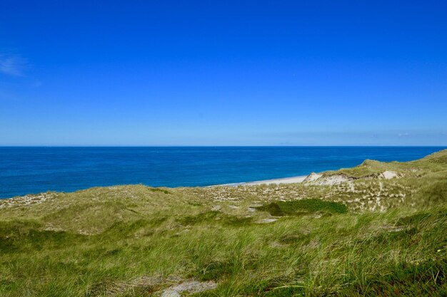 Scenic view of sea against clear blue sky