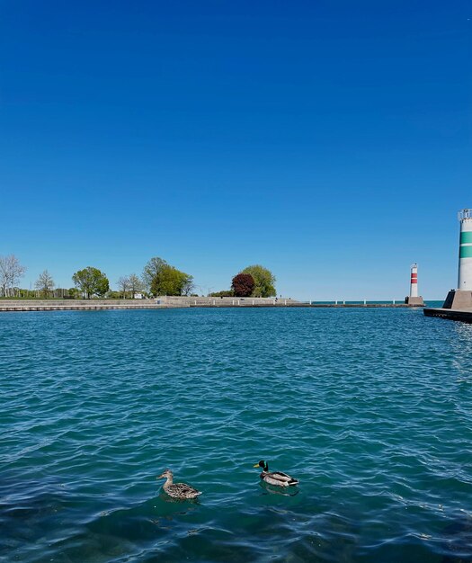 Scenic view of sea against clear blue sky