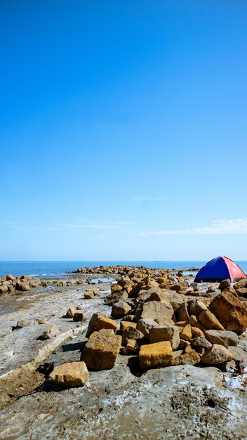 Scenic view of sea against clear blue sky