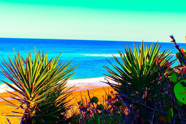 Scenic view of sea against clear blue sky