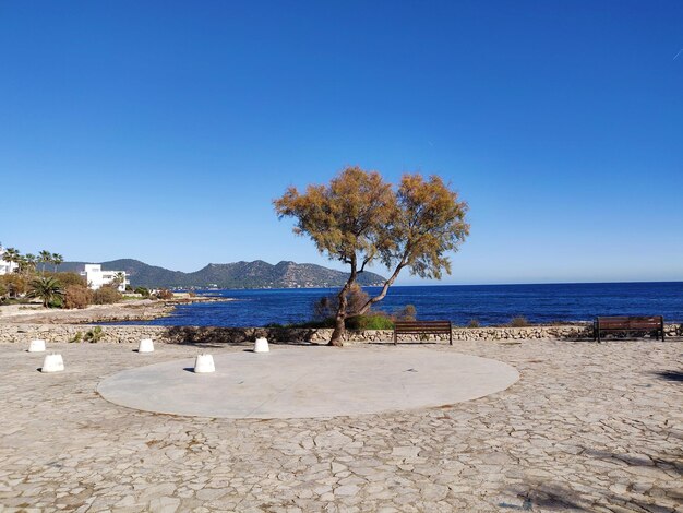 Scenic view of sea against clear blue sky