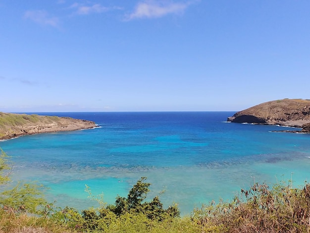 Scenic view of sea against clear blue sky