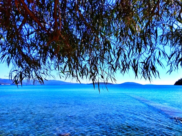 Scenic view of sea against clear blue sky