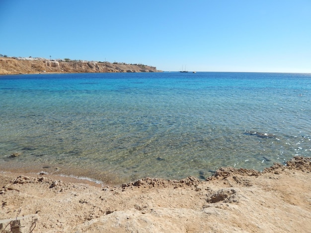 Foto la vista panoramica del mare contro un cielo blu limpido